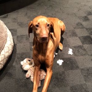 Meet your Posher, Heather